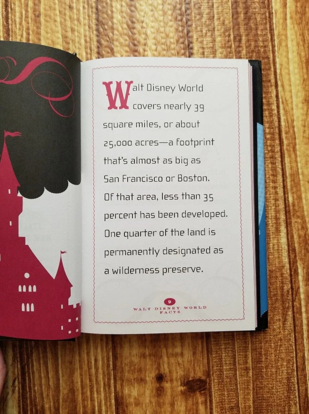 Walt Disney World Little Known Facts Trivia Hardcover Book Laurie Flannery Parks